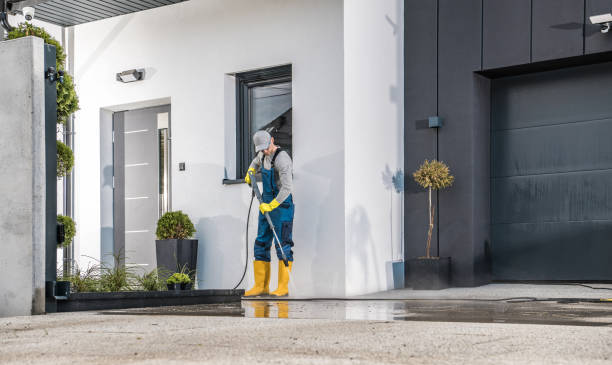 Best Oil Spill Cleanup  in Chicago Heights, IL
